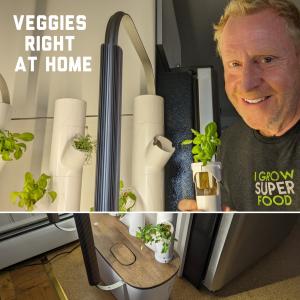 home veggie growing