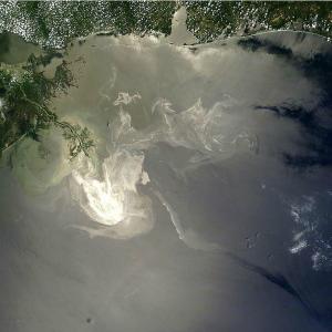 Deepwater Horizon Oil Spill