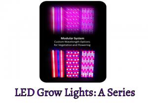 LED Grow Lights: A Series